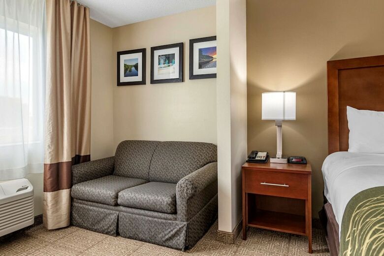 Hotel Comfort Inn & Suites Dimondale