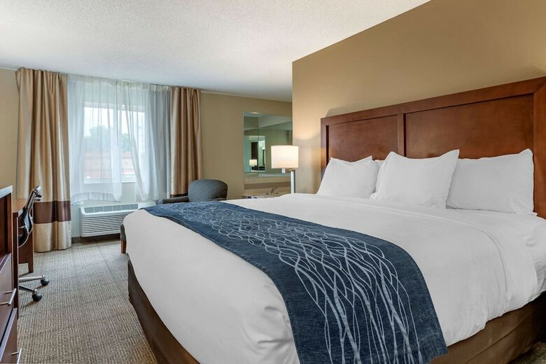 Hotel Comfort Inn & Suites Dimondale