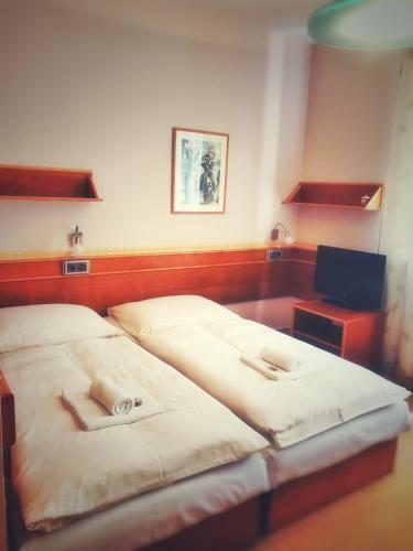 Hostal Penzion Fontis Terrae