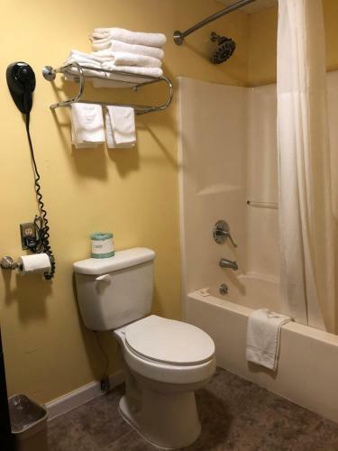 Motel Ellijay Inn
