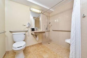 Hotel Holiday Inn Mount Prospect-chicago