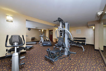 Hotel Holiday Inn Mount Prospect-chicago