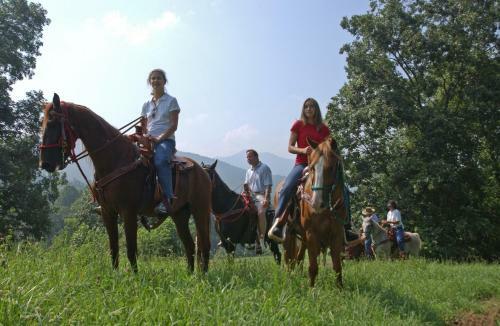 Hotel Brasstown Valley Resort & Spa