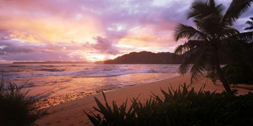 Apartamentos Hanalei Colony Resort