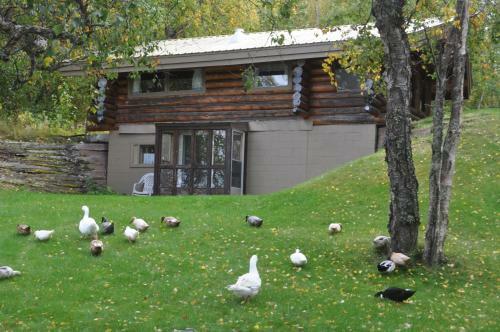 Daniels Lake Lodge Cabins