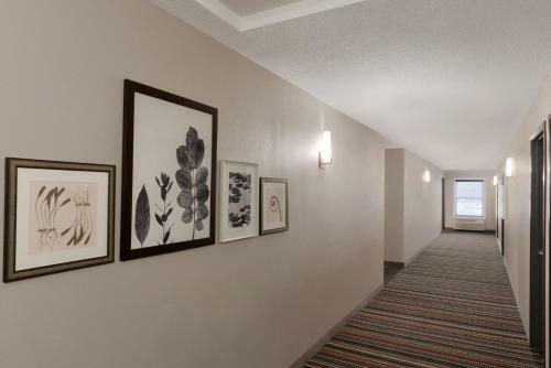 Hotel Country Inn & Suites Chippewa Falls