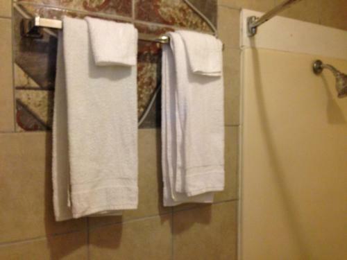 Motel Executive Inn Robstown