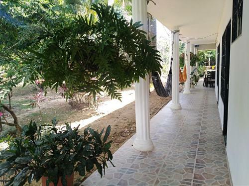 Lodge Tierralinda Finca Cottage