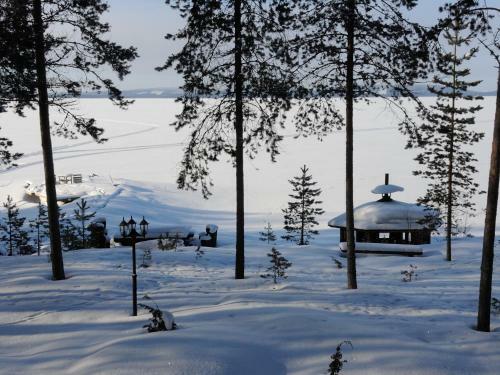 Lake Pielinen Lodges