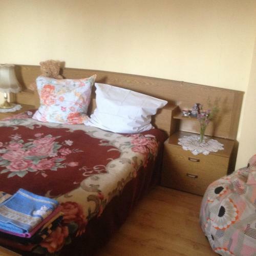 Hostal Guest House On Kirova Street