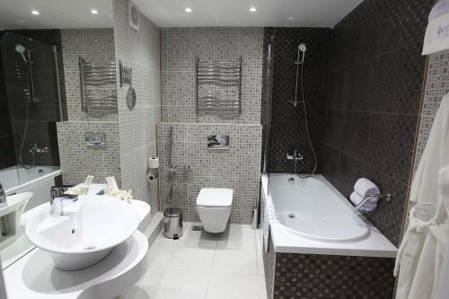Hotel Alesya