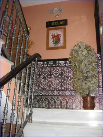 Albergue Hostal Virgen Del Rocio