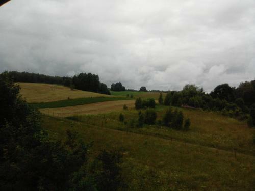 Apartamento Agrousadba Dom Lesnika