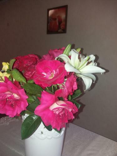 Hostal Guest House Berezhnoe