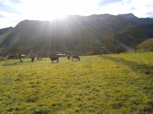 Camping El Jabal� Blanco