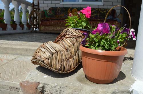 Agroturismo Vladimirskaya Usadba Brest