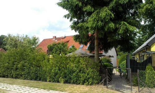 Apartamento Ferienwohnung Am Park