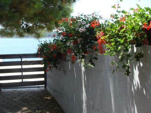 Apartamentos Studio Molunat 14613a