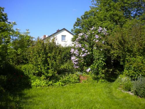 Apartamento Ferienwohnung "eifelstueffje"