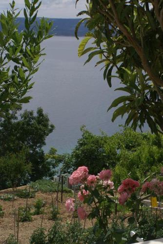 Apartments By The Sea Pisak (omis) - 2750