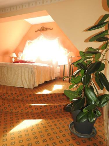 Hotel Residenz Bad Frankenhausen