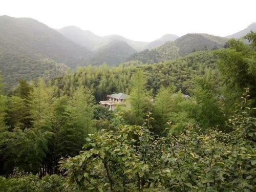 Moganshan Jinshe Inn