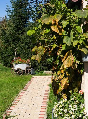 Apartamento Ferienwohnung Am Elberadweg