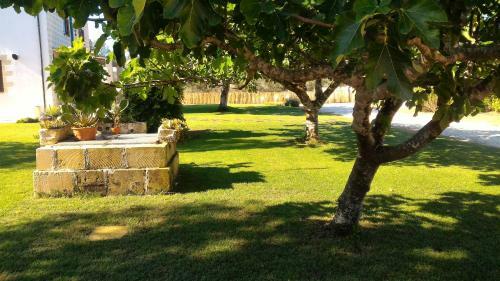 Agroturismo Masseria Vignenove