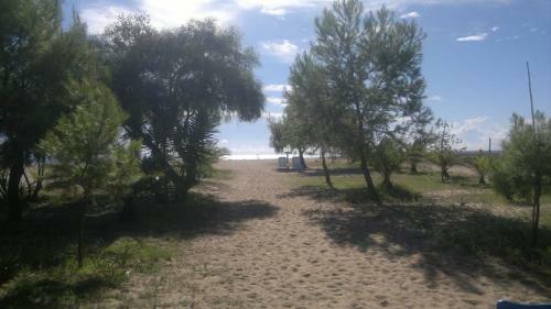 Camping Cigno Bianco