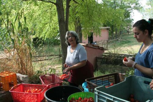 Agroturismo Masseria Sant'agapito