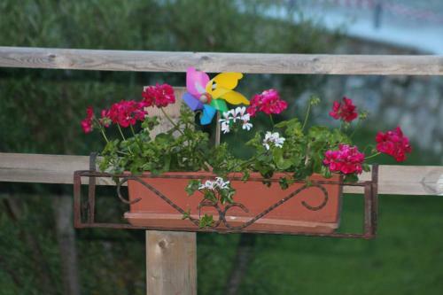 Hotel Albergo Bellaria