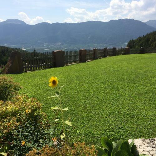 Agroturismo Agriturismo Alpenvidehof
