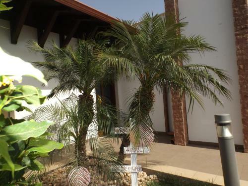 Villetta Del Salento Exclusive B&B