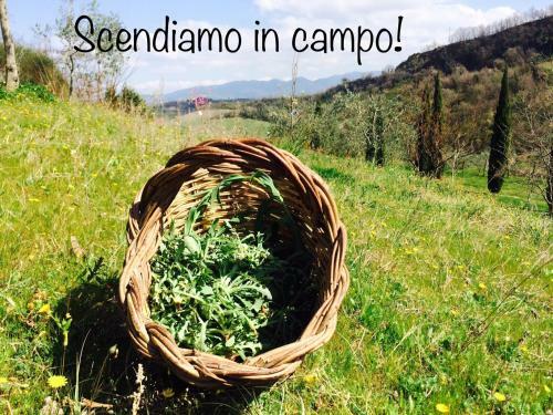 Agroturismo Agriturismo Valledeicalanchi