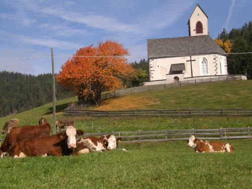 Agroturismo Gasleidhof