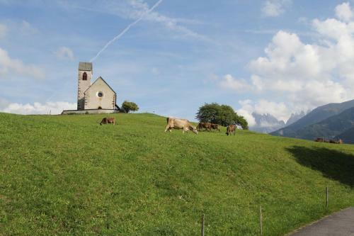 Agroturismo Gasleidhof