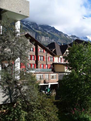 Posada Swiss Lodge Hotel Bernerhof