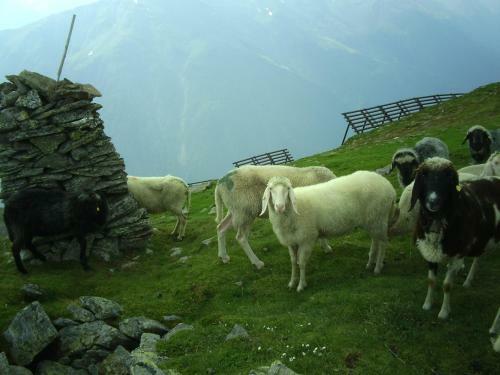 Apartamento Temelerhof