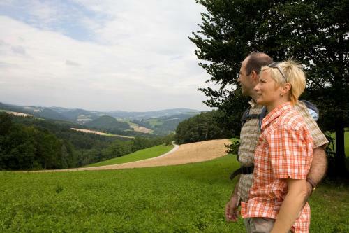 Hostal Genie�erpension Dopler - Zur Sch�nen Au