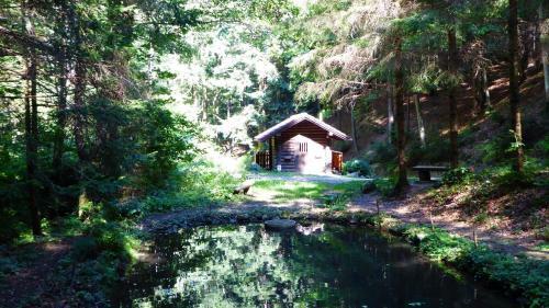 Hostal Genie�erpension Dopler - Zur Sch�nen Au