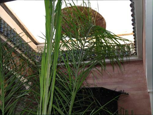 Riad Dar Ftouma