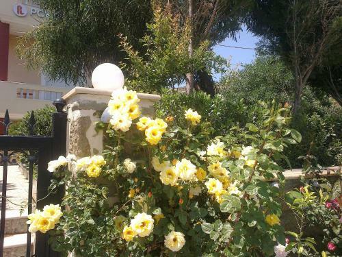 Apartamento Porto Limnia