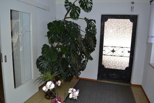 Hostal G�stehaus Feistritzer