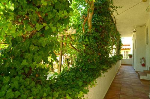 Apartamento Lemonia Zakynthos Studios