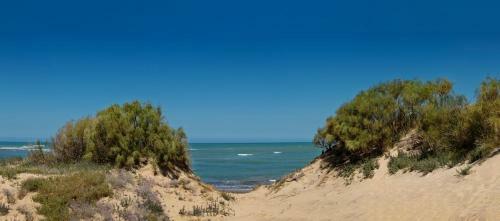 Summerland Apartments Rota