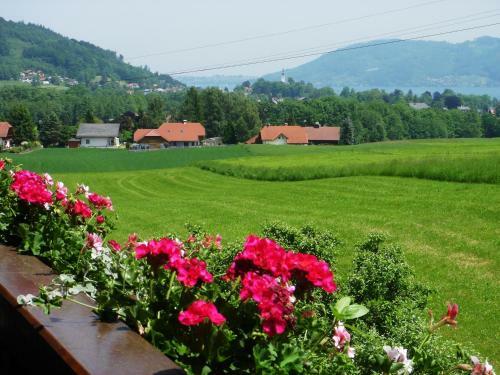 Apartamento Ferienwohnung Seiringer