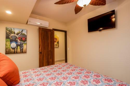 Apartamento Casa Tequila Marina Sol