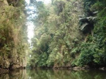 Hotel The Krabi Forest Homestay