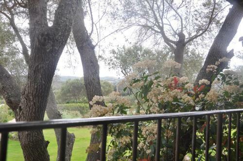 R�sidence Maora Village