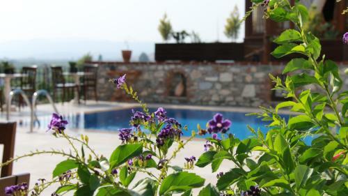 Ayasoluk Ephesus Hotel